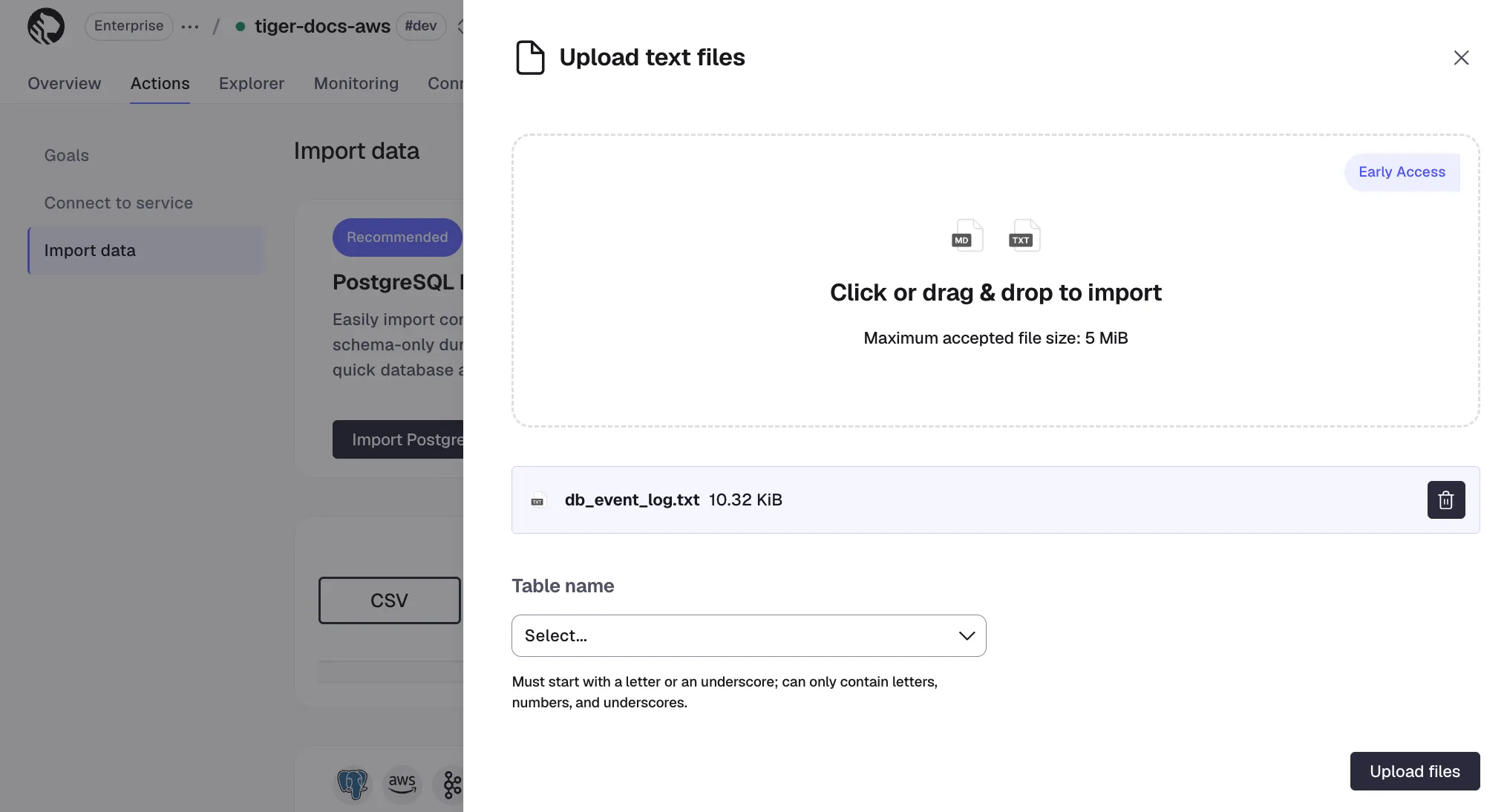 Configuring text file import settings in Tiger Console